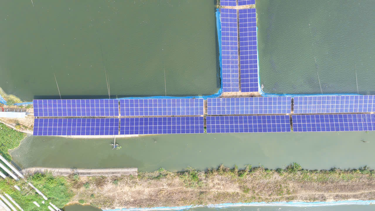 Dự án Vùng nuôi Thuỷ sản 1,2Mwp - Đại Thành