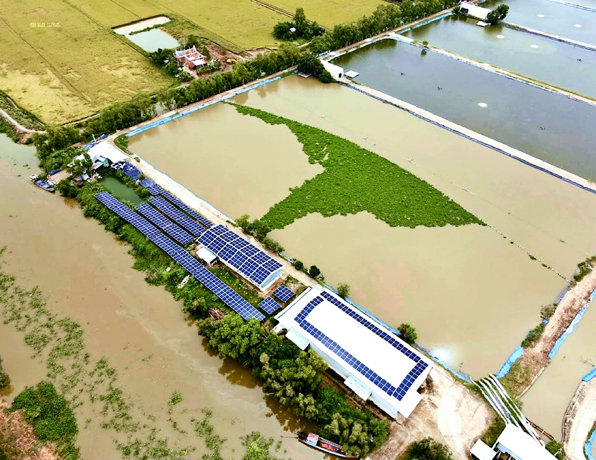 Vùng Nuôi Thuỷ Sản- Long An 600 Kwp